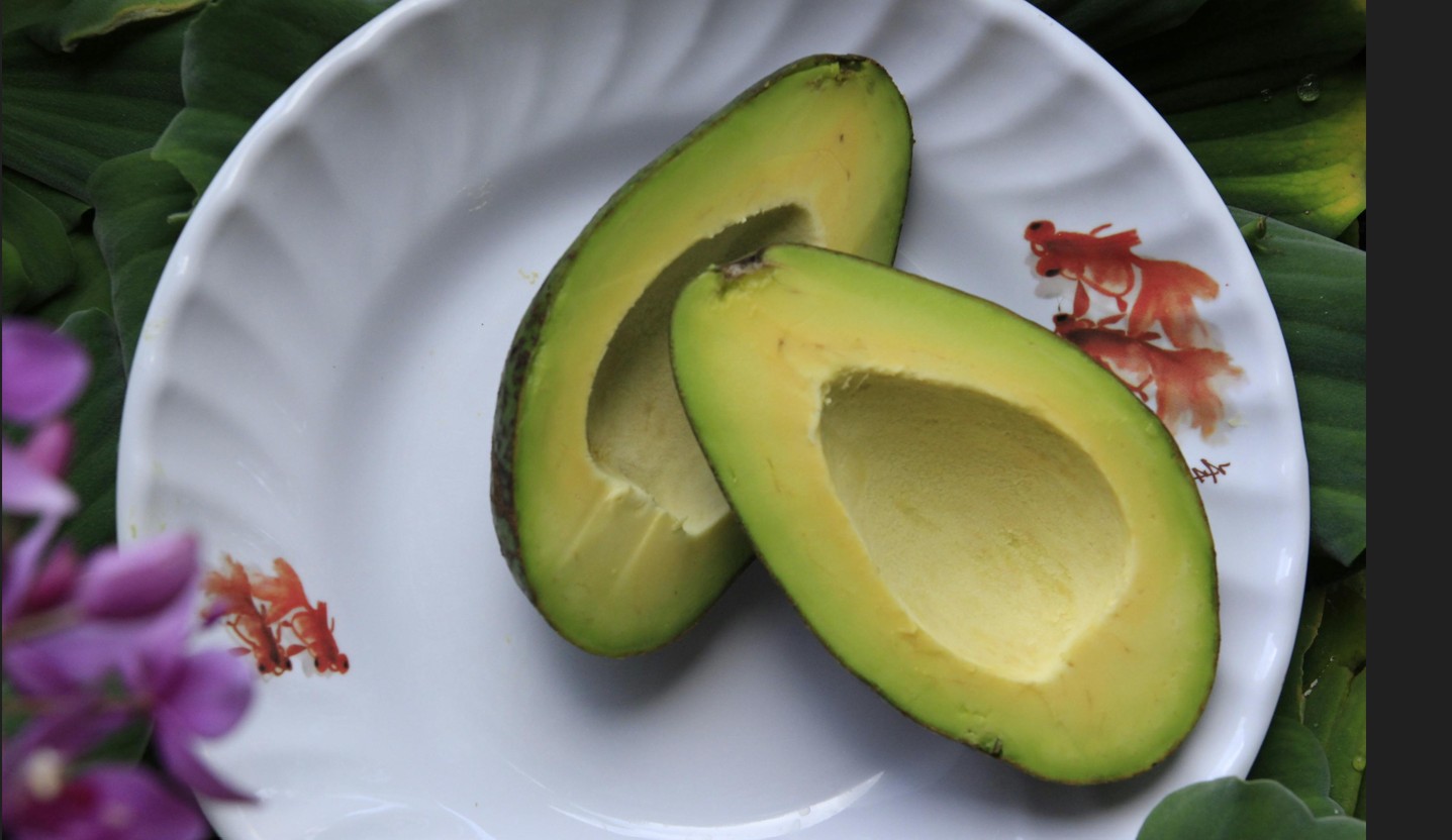 Avocado