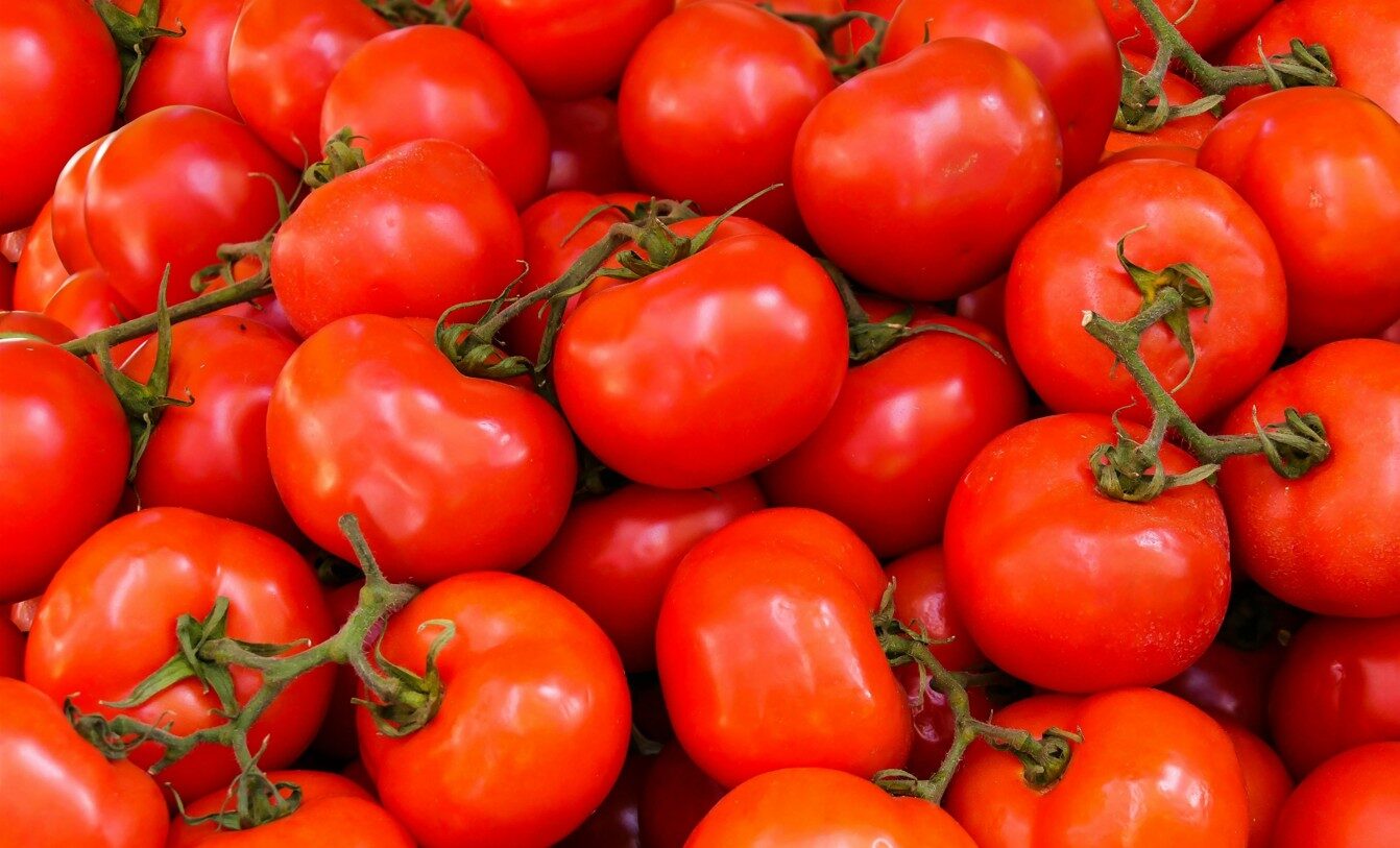 Tommatoes
