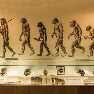 Why Evolution is Not Possible Based Solely on Natural Selection and Random Mutation: The Case for an External Influence